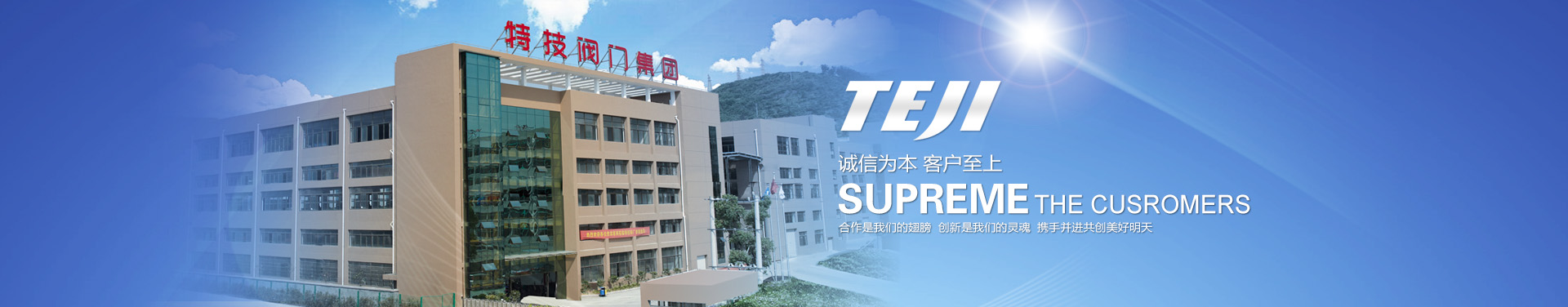 特技阀门集团有限公司 特技阀门集团有限公司