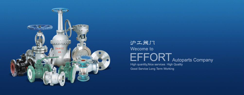 山东沪工阀门制造股份有限公司 山东沪工阀门制造股份有限公司